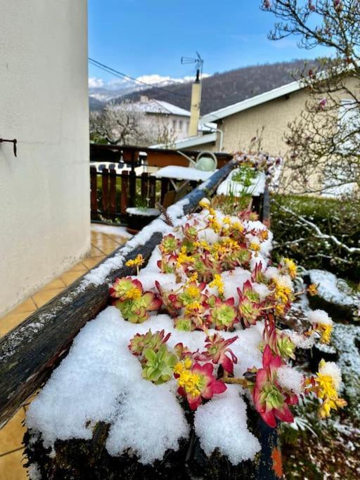 Apartament La Terrasse Du Fourcat Saint-Paul-de-Jarrat Zewnętrze zdjęcie
