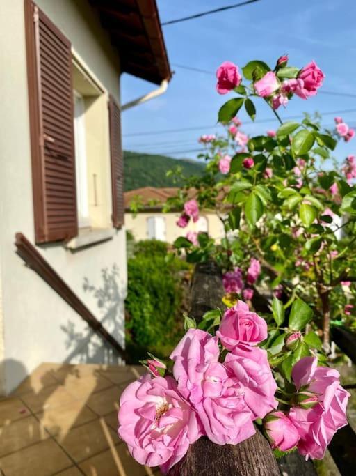 Apartament La Terrasse Du Fourcat Saint-Paul-de-Jarrat Zewnętrze zdjęcie